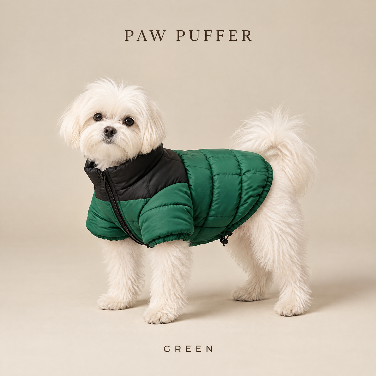 Paw Puffer dog puffer jacket in Green on a Maltese
