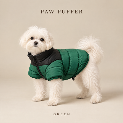 Paw Puffer dog puffer jacket in Green on a Maltese