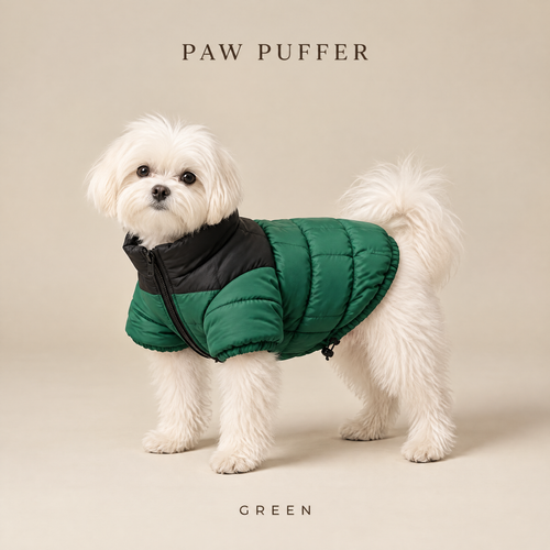 Paw Puffer dog puffer jacket in Green on a Maltese